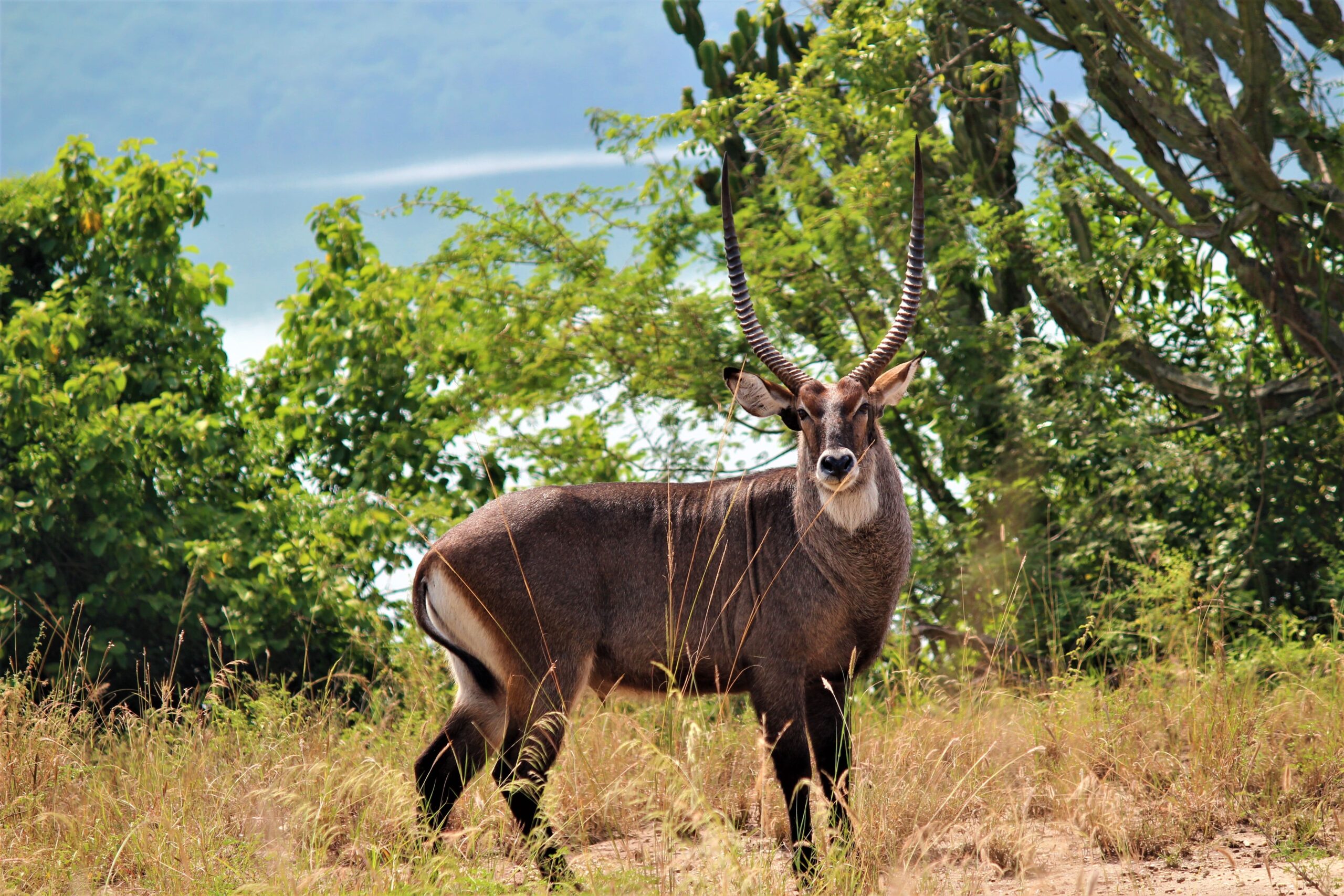 LAKE MBURO