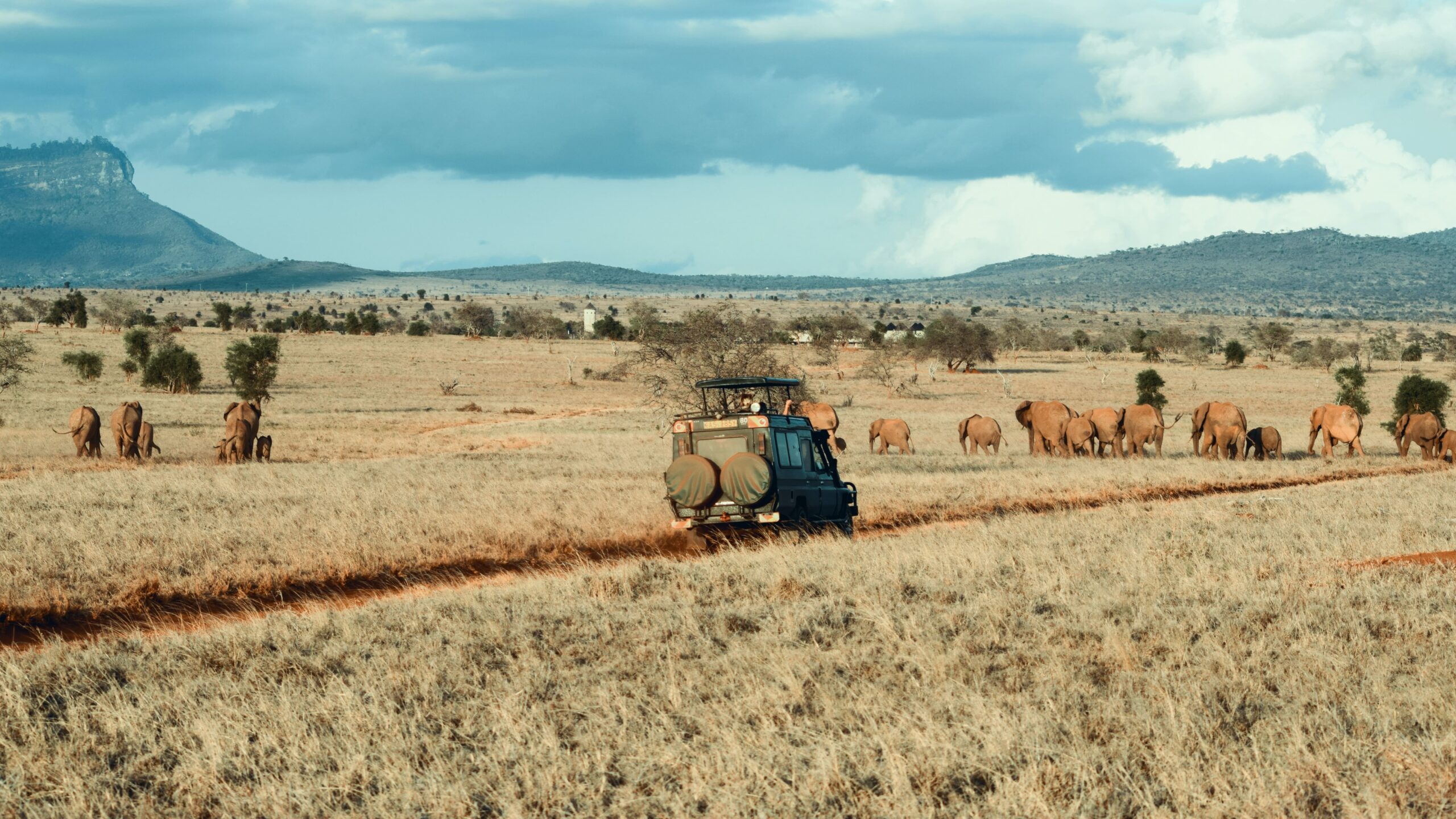 EAST AFRICA SAFARIS