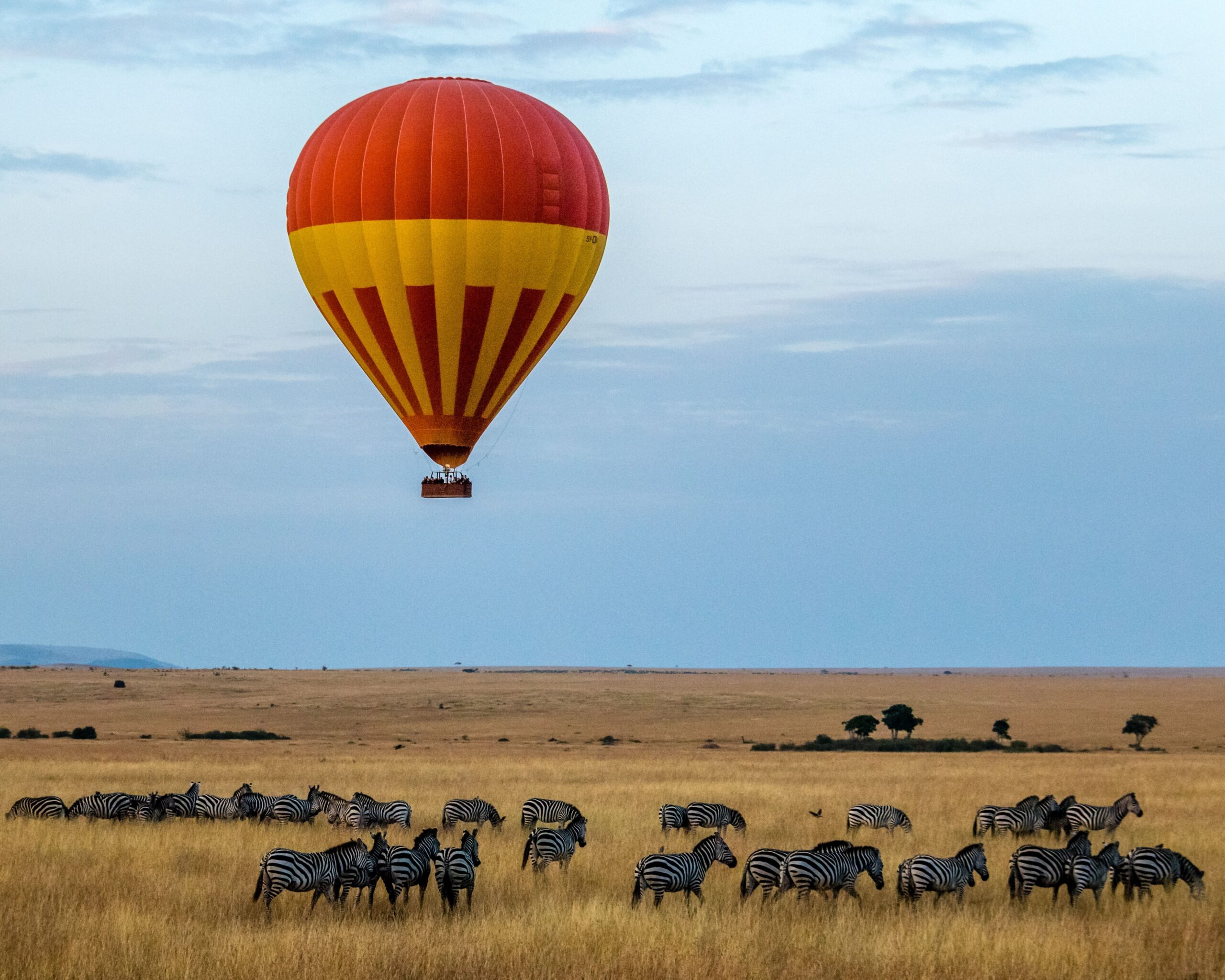 HOT AIR BALLOON