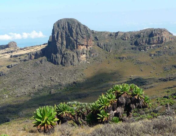 5 DAYS MT ELGON HIKE (4,321m)